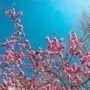 mbプロフ必読⋆*❁*の画像