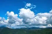 かわさんの画像