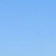 ryuの画像