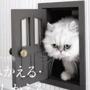 nico1の画像