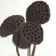 あみこ