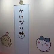 えぬの画像