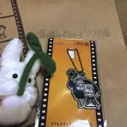 あいりすの画像
