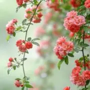 user_a661a76cの画像