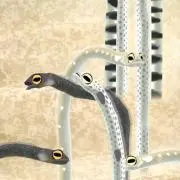 鍋うどん【10/4発送不可】の画像