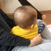 あひるの画像