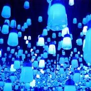Yの画像