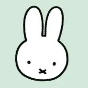 きょんの画像