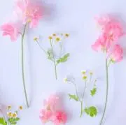 na☆の画像