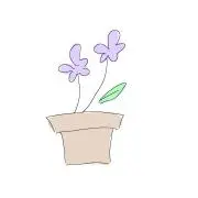 すみれの画像