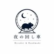 夜の回し車の画像