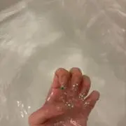 りんごの画像