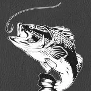 Fischerの画像