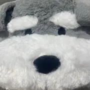 toyの画像