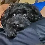 松ちゃん