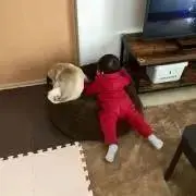 Yukoの画像