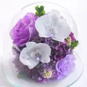 Luanaの画像