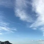 lemonの画像