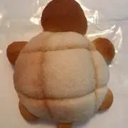 yuonの画像