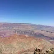 にゃーご☆平日に発送してますの画像