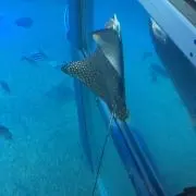 mmの画像