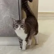 mami,sの画像