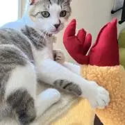 天むすの画像