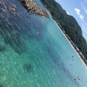 ぴょん吉