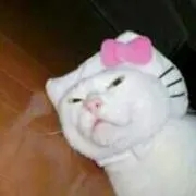☆もめん☆