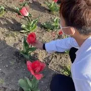 こうの画像
