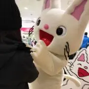 しろプッチの画像