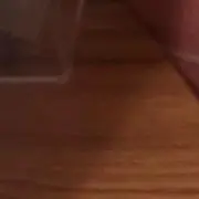縄文の画像