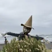 ミヌ