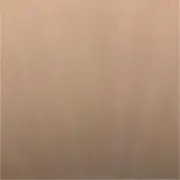 松ぼっくりの画像