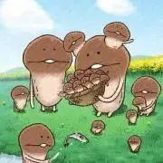 小鳥の画像