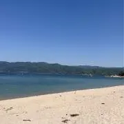 MLの画像