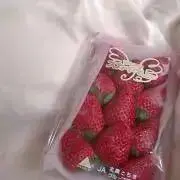 yの画像