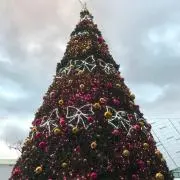 りんご（プロフ読んだ上でご購入下さい）の画像