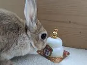 まるの画像