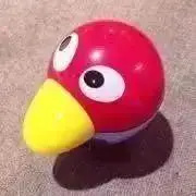 きょろの画像