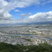 グレの画像