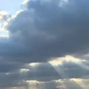 Ariel⭐︎の画像