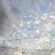 即購入大歓迎！