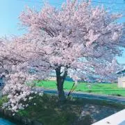 eriy0810の画像