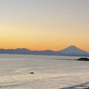 たのの画像