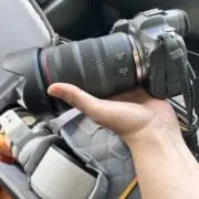 白の画像