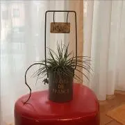 riroの画像