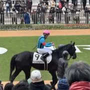 ヨッシー