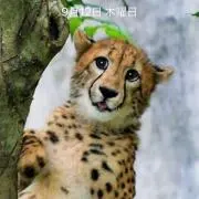 さいとう