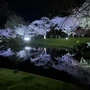 神咲恵の画像